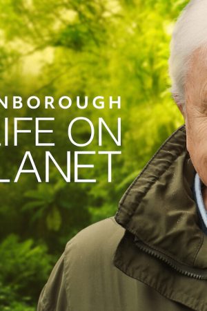 David Attenborough: Một Cuộc Đời Trên Trái Đất